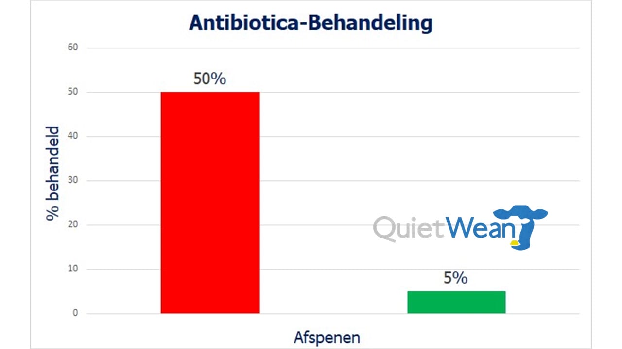 QuietWean Noseflap - stressvrij kalveren spenen / per 10 stuks - Afbeelding 7