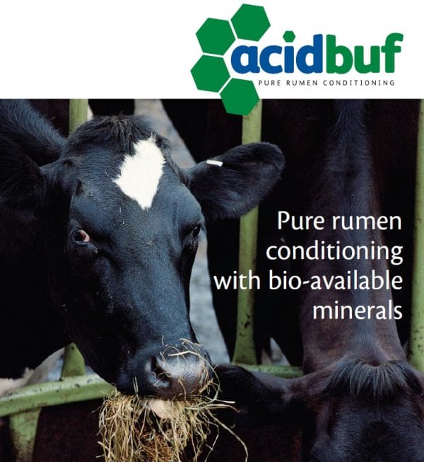 ACIDBUF – PENSBUFFER UIT ZEEALGEN -1000kg - Afbeelding 6