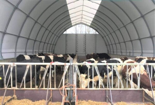 FleXstal™, Tierhallen und Lagerung – Bild 15