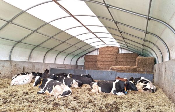 FleXstal™, Tierhallen und Lagerung
