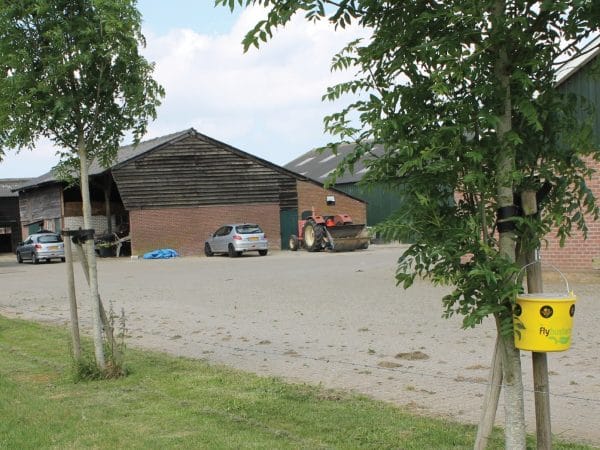 VLIEGENVAL incl. lokstof zonder gif, tot 20% korting - Afbeelding 8