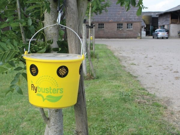 VLIEGENVAL incl. lokstof zonder gif, tot 20% korting - Afbeelding 10