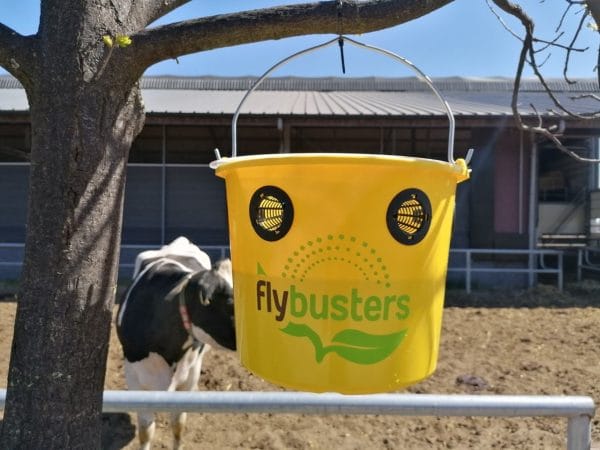 VLIEGENVAL incl. lokstof zonder gif, tot 20% korting - Afbeelding 17