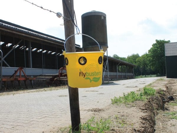 VLIEGENVAL incl. lokstof zonder gif, tot 20% korting - Afbeelding 6