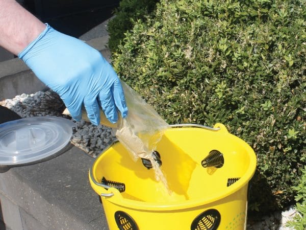 VLIEGENVAL incl. lokstof zonder gif, tot 20% korting - Afbeelding 2