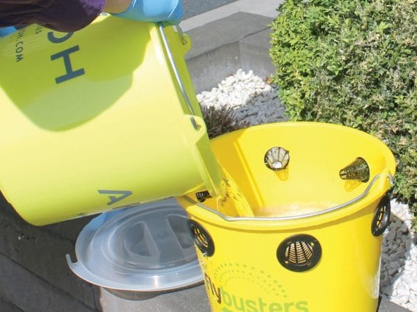 VLIEGENVAL incl. lokstof zonder gif, tot 20% korting - Afbeelding 3