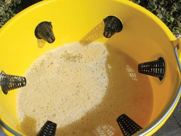 VLIEGENVAL incl. lokstof zonder gif, tot 20% korting - Afbeelding 5