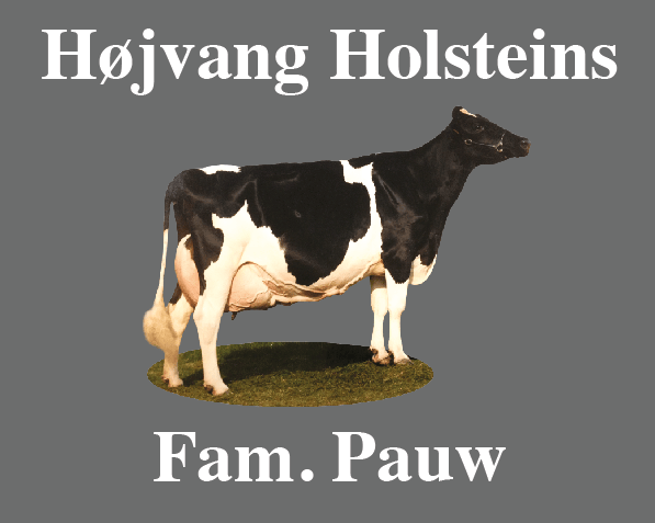 Hofschild Kuh (9) – Bild 4