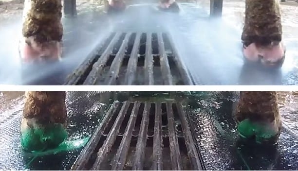 RoboSprayer™ - Klauwen reinigen en desinfecteren in de melkrobot - 1-2-3 boxen - Afbeelding 4