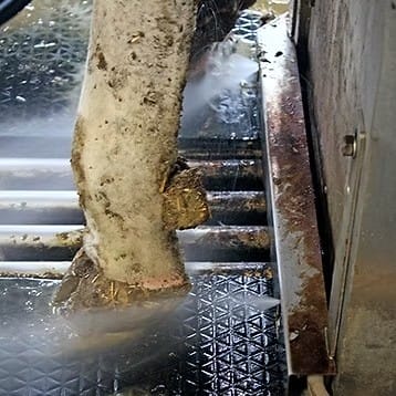 RoboSprayer™ - Klauen waschen im Melkroboter - 1 oder 2 box system – Bild 5
