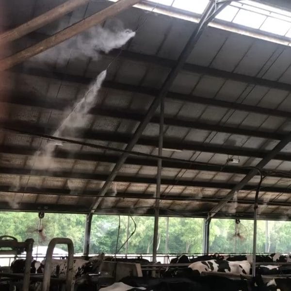 DairyCool™ Nevelkoeling - Afbeelding 6