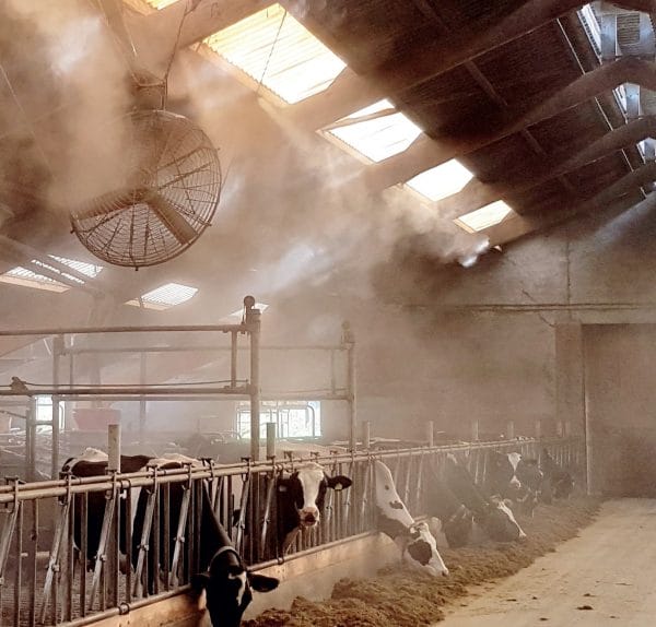DairyCool™ Nevelkoeling - Afbeelding 3
