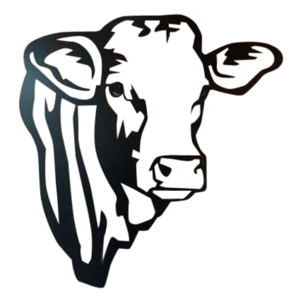 Koe Vleesras staal 2 mm