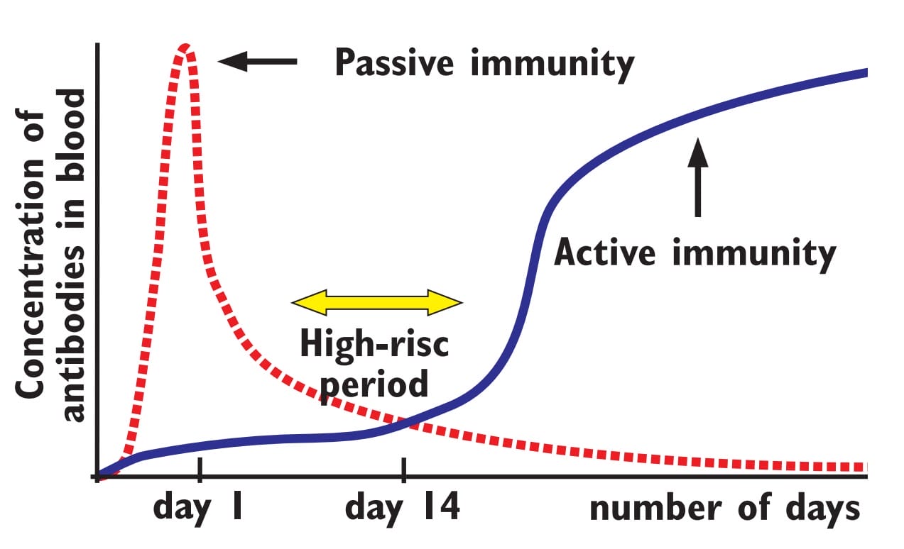 Calf-Help+ Stimulans darmgezondheid - Cowshopping