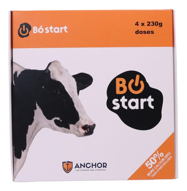 Bó Start Complete Startbolus - Das Startup für jede Milchkuh – Bild 4