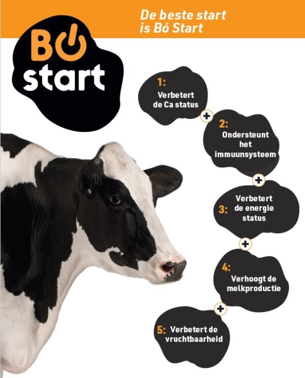 Bó Start Complete Startbolus - Das Startup für jede Milchkuh – Bild 3